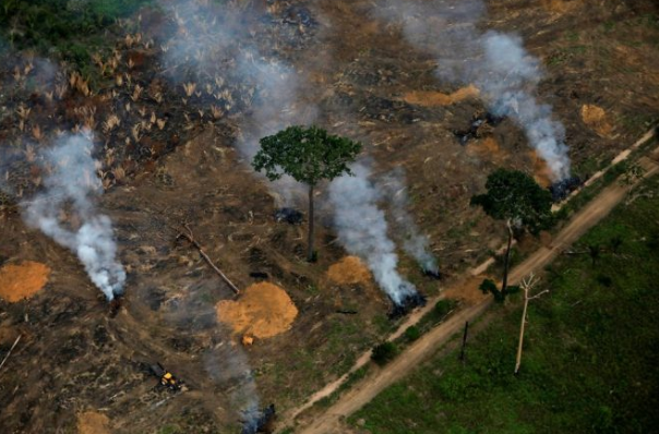 Amazônia tem desmatamento recorde no primeiro semestre de 2020