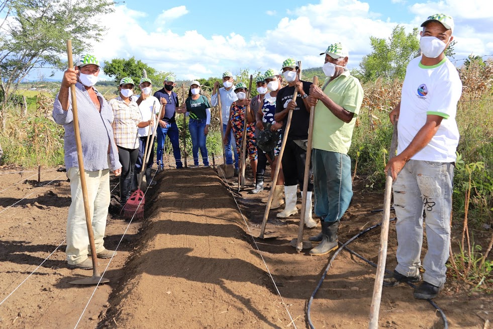 Itapetinga: Curso de Olericultura Orgânica fomenta agricultura familiar