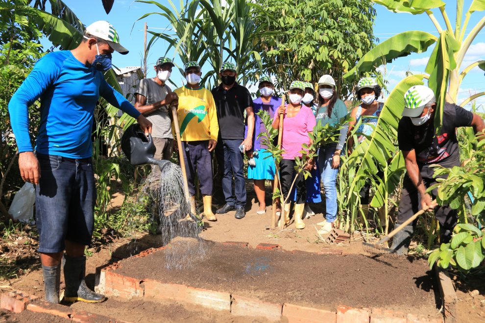 Itapetinga: Produtores da Agrovila participam de curso de cultivo de hortaliças