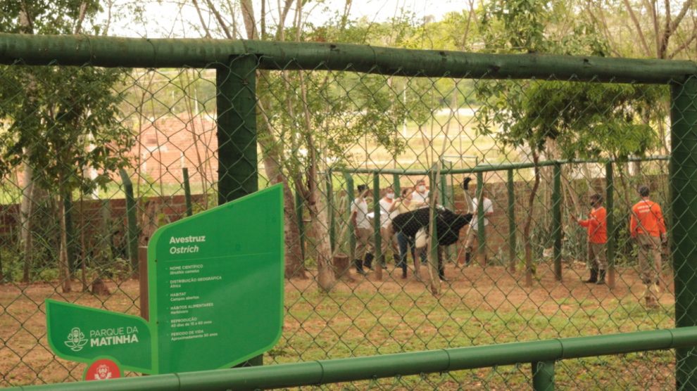 Itapetinga: Requalificada, Matinha mantém animais bem cuidados e saudáveis