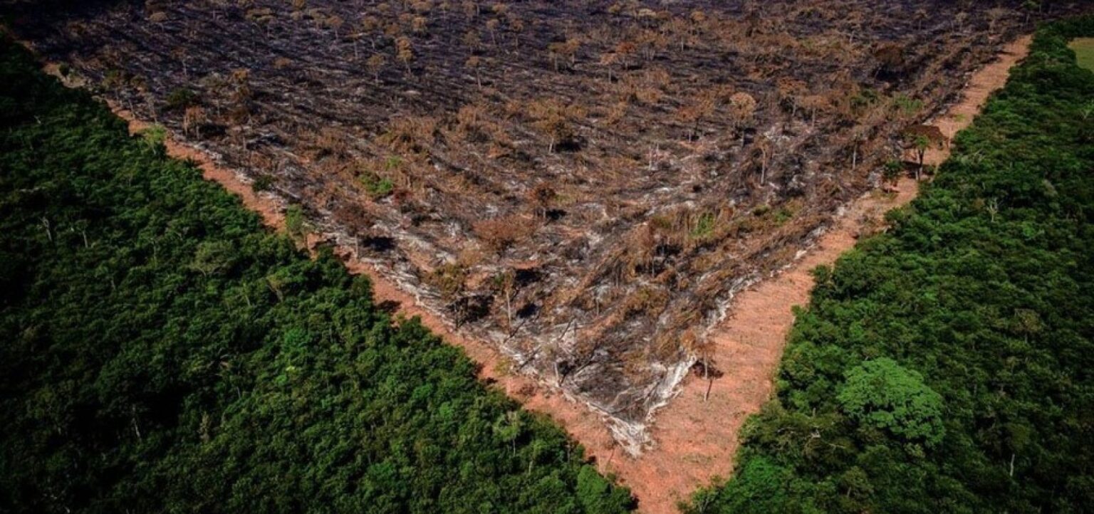 Desmatamento na Amazônia em maio é o maior nos últimos cinco anos