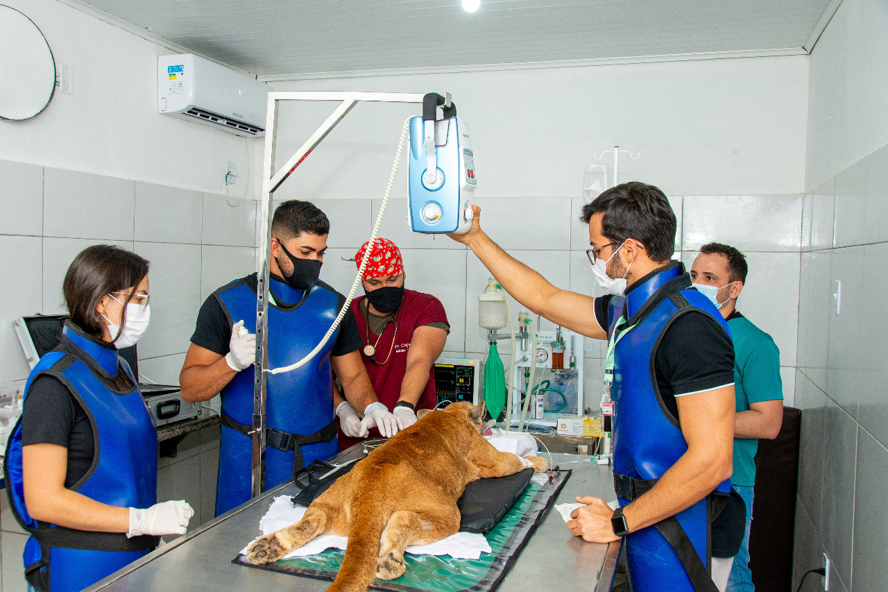 Itapetinga: Parque da Matinha equipado para fazer atendimento clínico aos animais do plantel