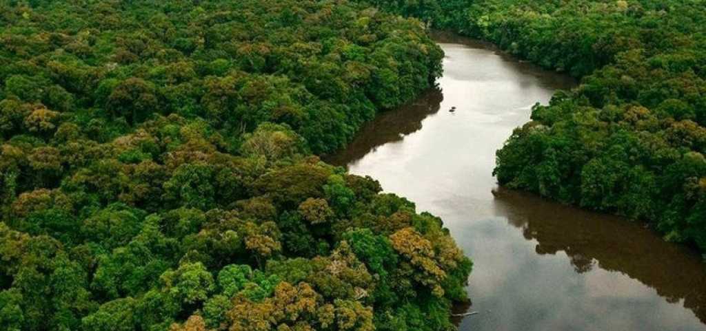 Desde 2018, licenças para armas na Amazônia Legal aumentam em 219%