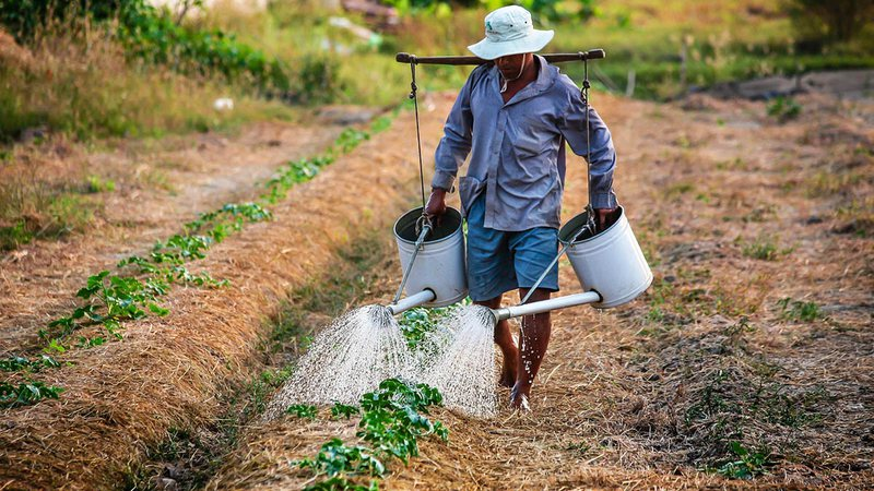 Auxílio prometido à agricultor só atende 1% dos beneficiários; orçamento para 2023 não cobre nem esse público