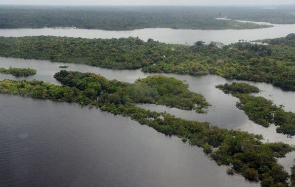 Fundo Amazônia: Representante da Alemanha vem ao Brasil para discutir retorno dos repasses