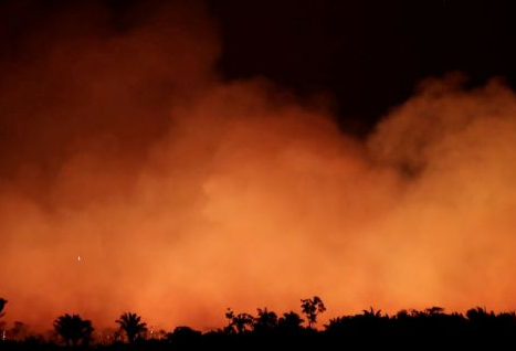 Amazônia: incêndios florestais avançam após novo Código Florestal