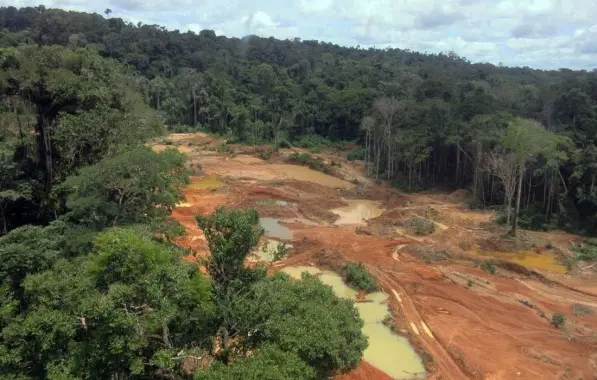 Falta orçamento para combater garimpo, diz futura presidente da Funai