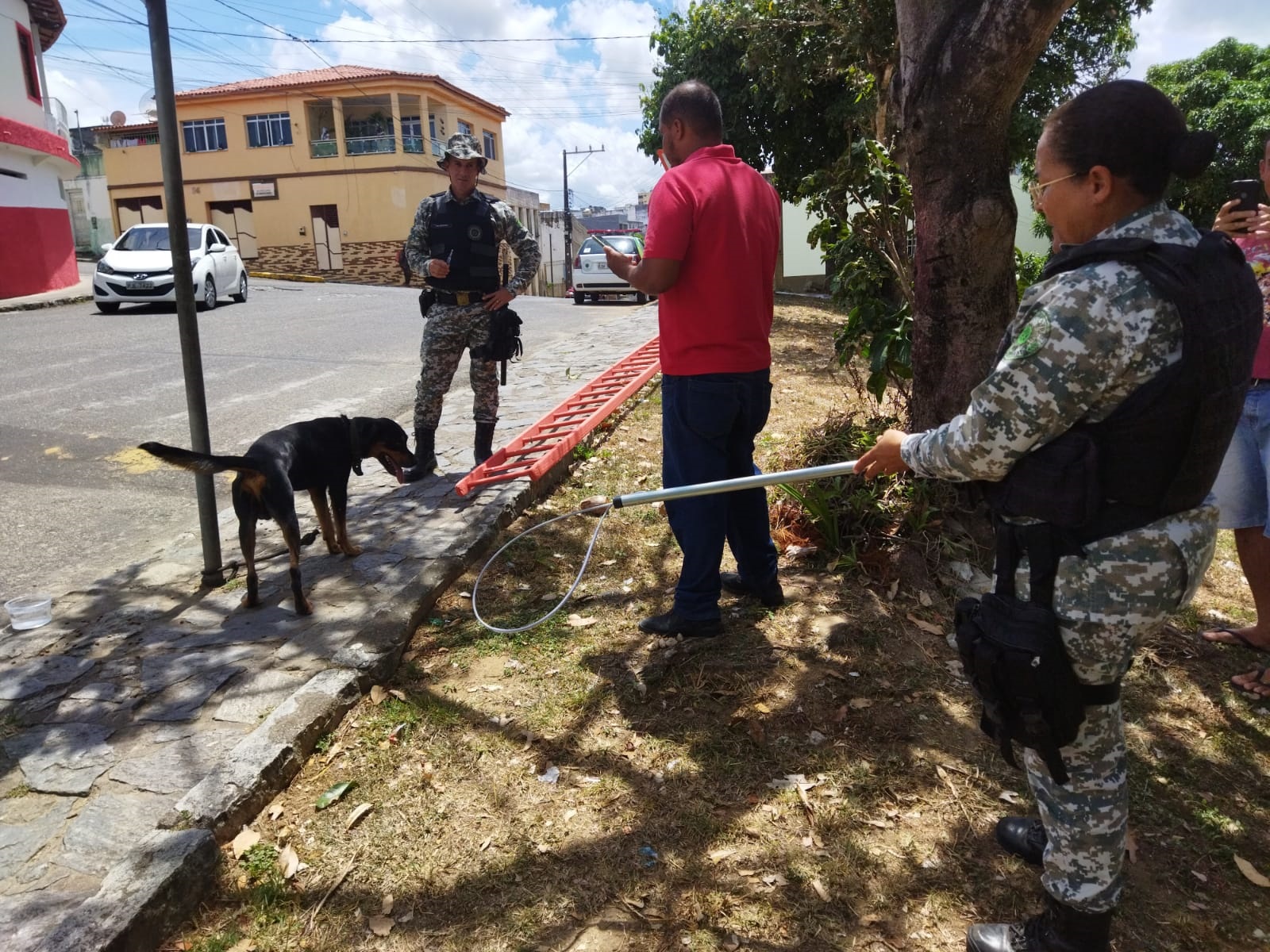 Itapetinga: GEPA (Grupo Especial de Proteção Ambiental) Segue Sendo Acionado Pela População