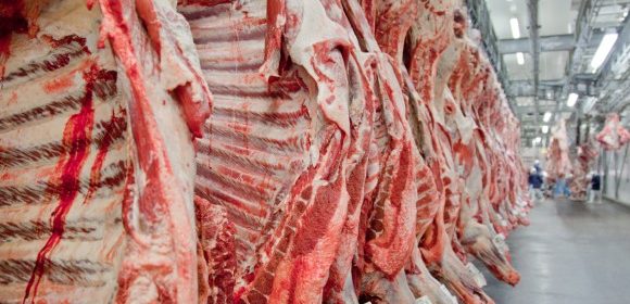 Brasil habilita 34 frigoríficos para vender carne bovina ao México