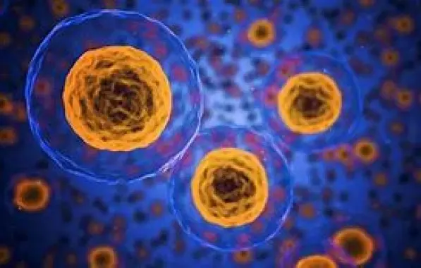 Nanopartículas reprogramam células de defesa e barram crescimento de tumor de mama