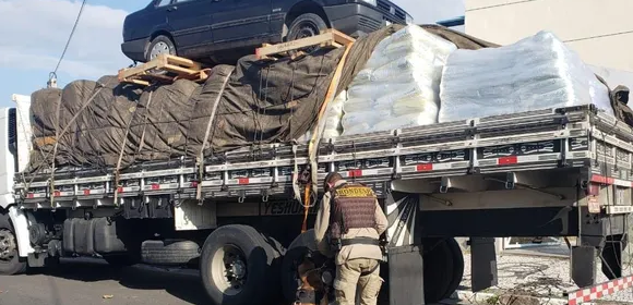 Mais de 100 kg de cocaína são encontrados escondidos em carga de ração de peixe em Feira de Santana