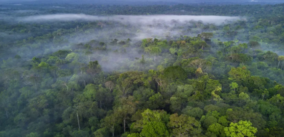 Cúpula da Amazônia reúne 15 países em Belém de olho em combate ao crime organizado