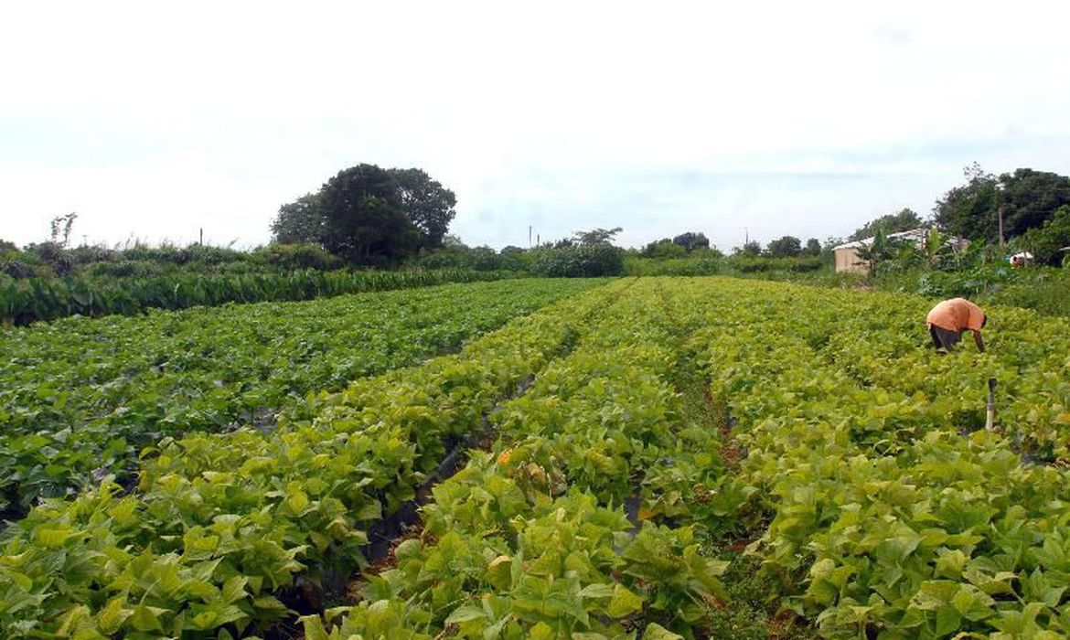 Plataforma do Desenrola renegociará dívidas de agricultores familiares