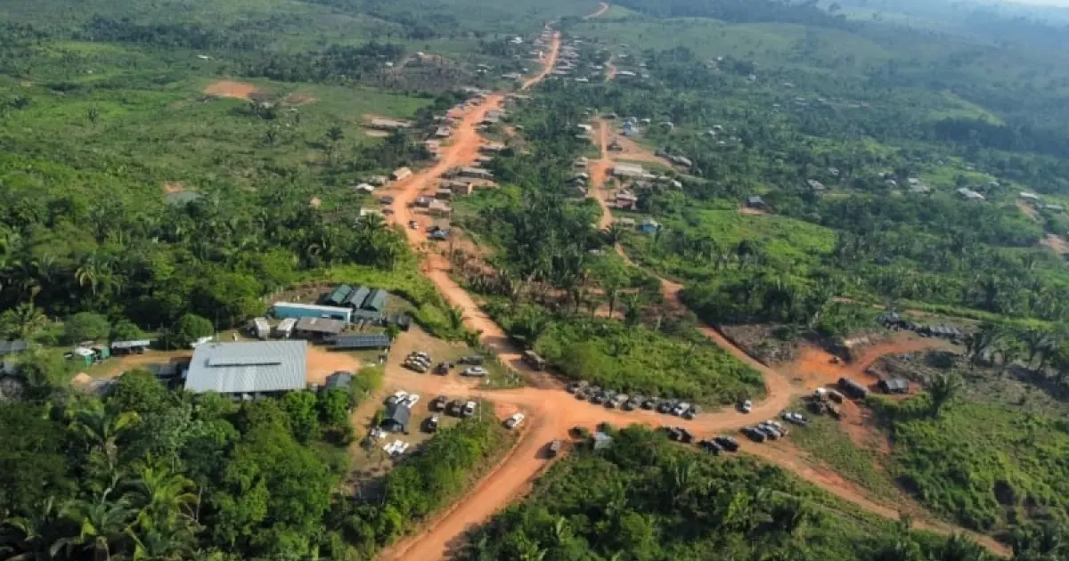 Ibama constata desmatamento por arremesso de agrotóxico em terra indígena invadida por grileiros