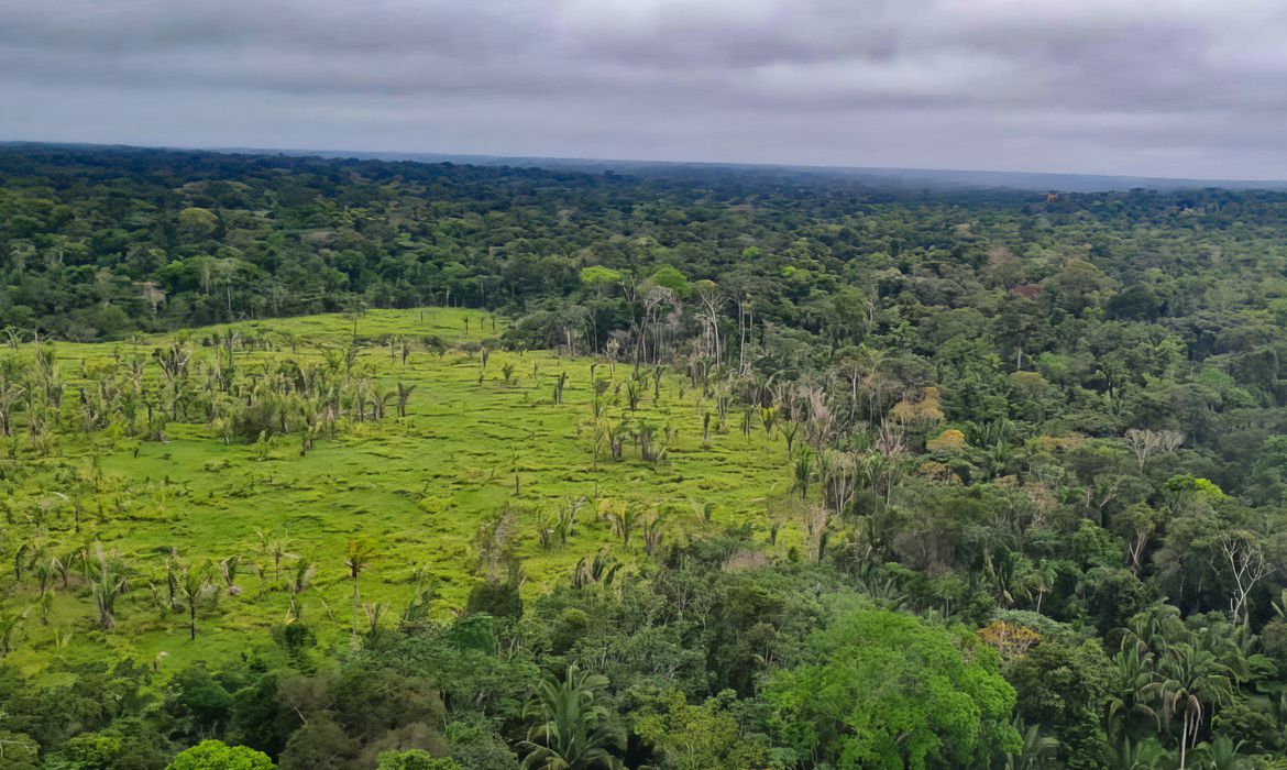 Entenda o que é e para que serve o mercado de carbono