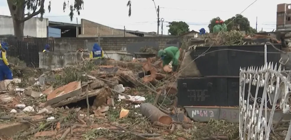 Árvore centenária cai e destrói túmulos em cemitério em Vitória da Conquista: covas foram destruídas e caixões ficaram expostos