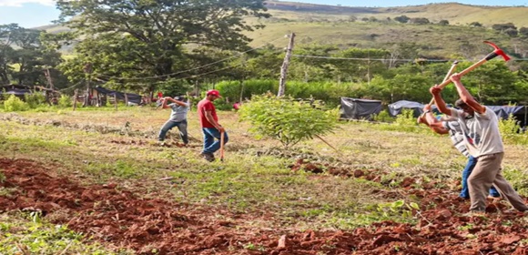 Justiça nega reintegração em fazenda ocupada pelo MST em Minas Gerais