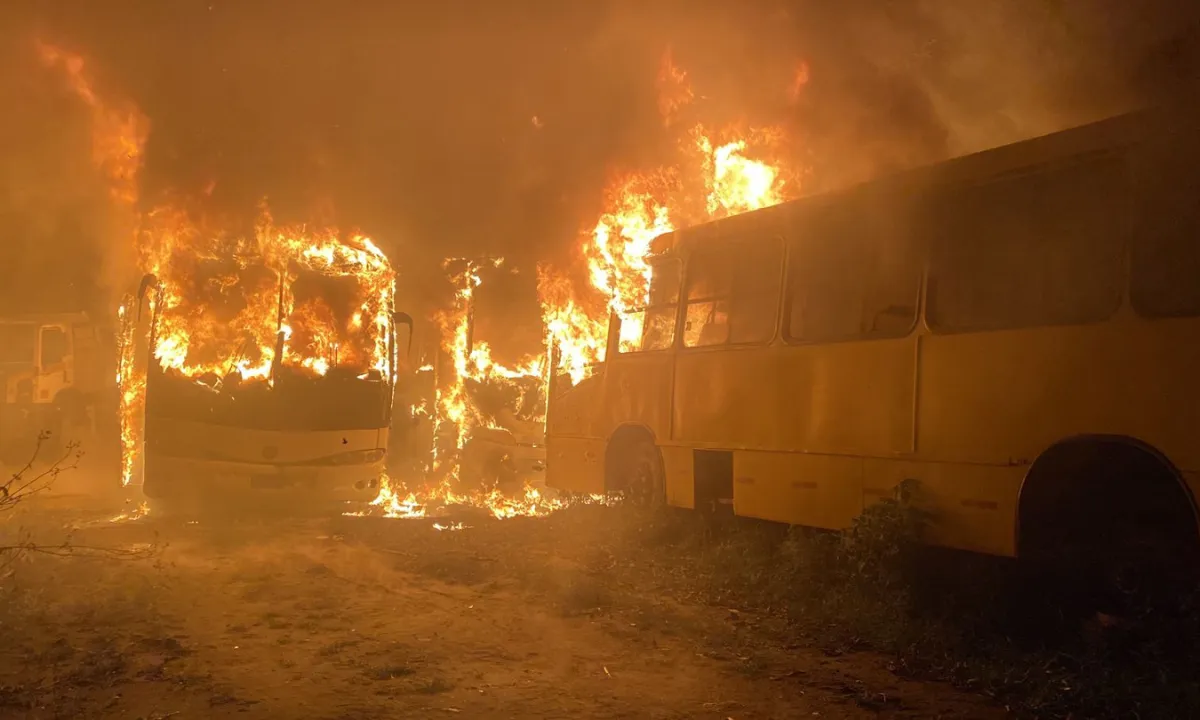 Amigos fumam maconha e bitucas causam incêndio em três ônibus na Bahia